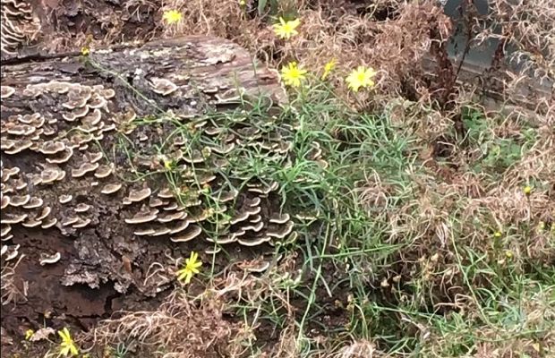 Filmisch-Fotografischer Abschied