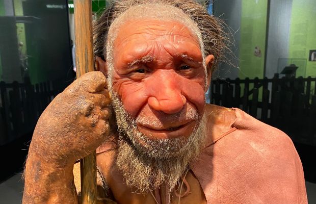 Auf den Spuren der Evolution