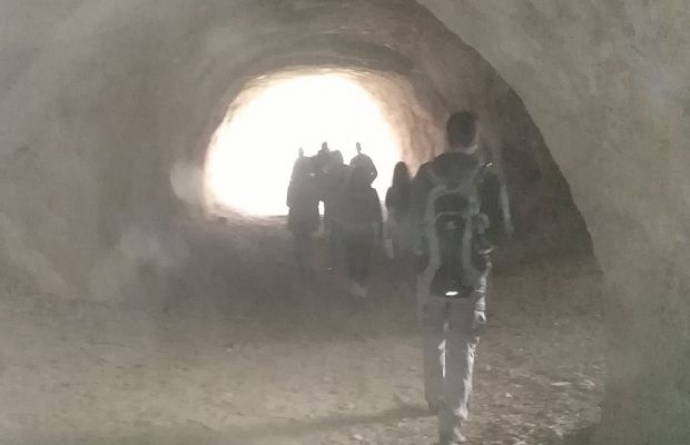 Ein Blick in die Eiszeit