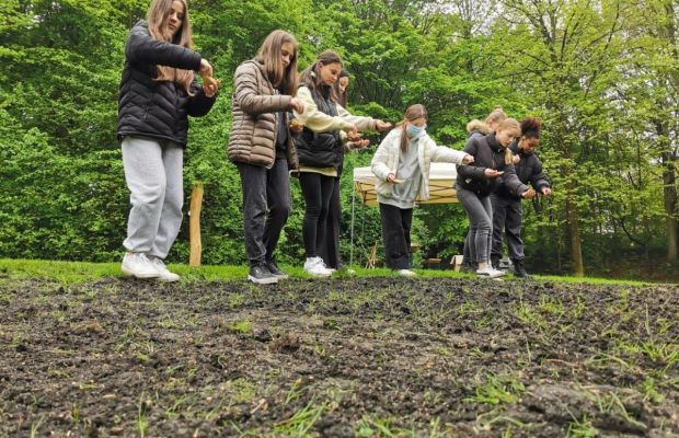 Burgpark goes Blühwiese