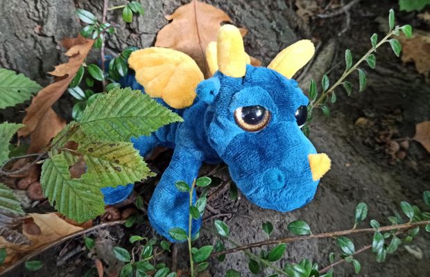 Baby Blue mit der 5e in der Eifel