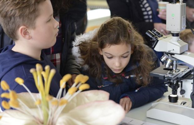 Full House in der Bonnstraße