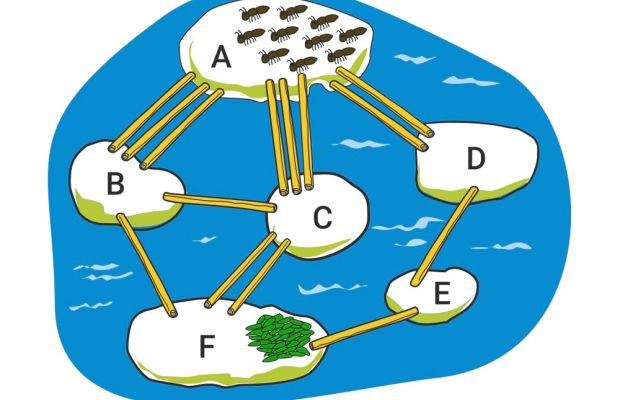 Biber-Wettbewerb: Drei erste Plätze am EMG