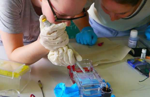 Alles andere als ein Strebercamp