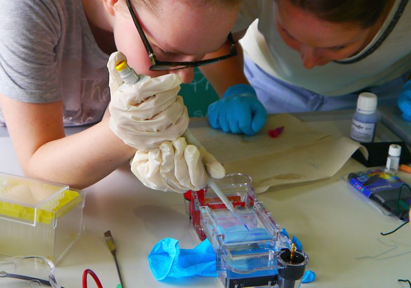 Alles andere als ein Strebercamp