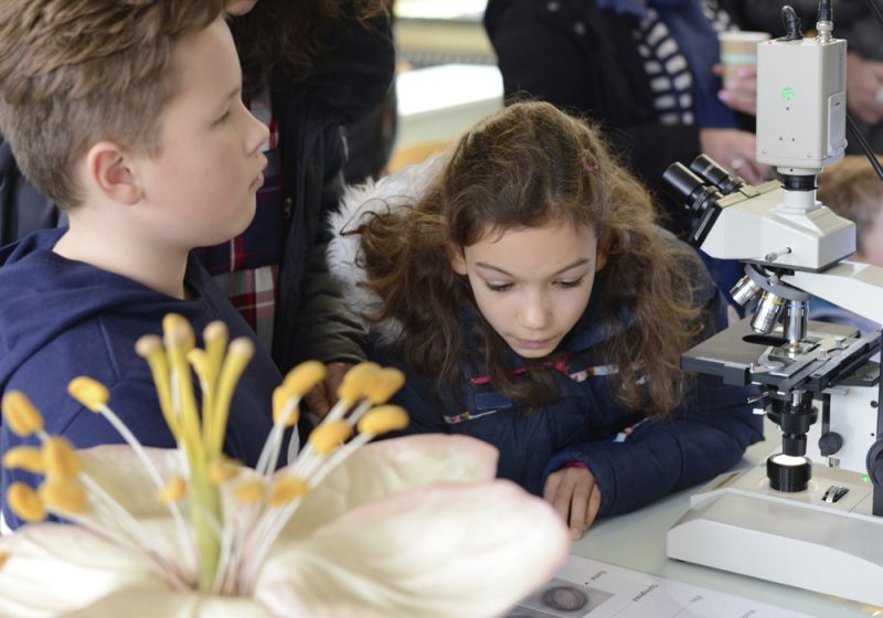 Full House in der Bonnstraße