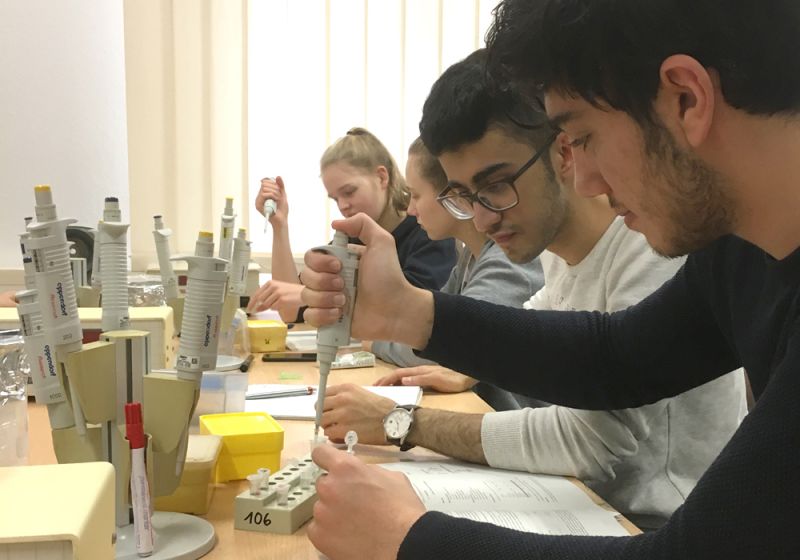 Gelelektrophorese an gespaltener Plasmid-DNA