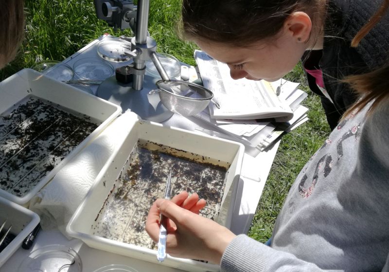 Biochemiker finden vielfältige Fauna