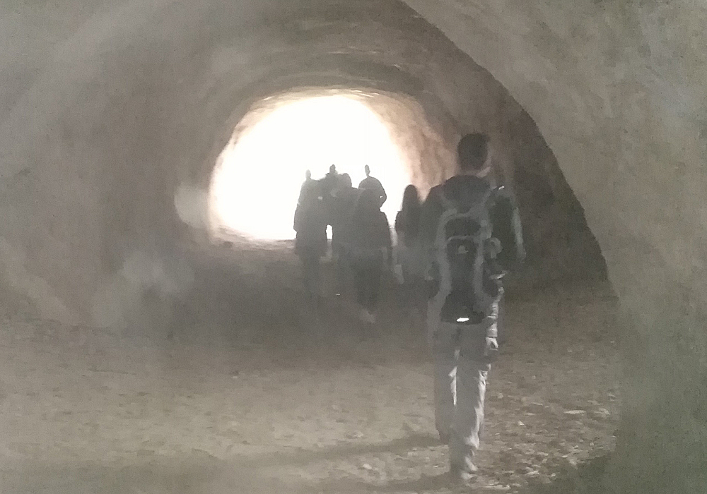 Ein Blick in die Eiszeit