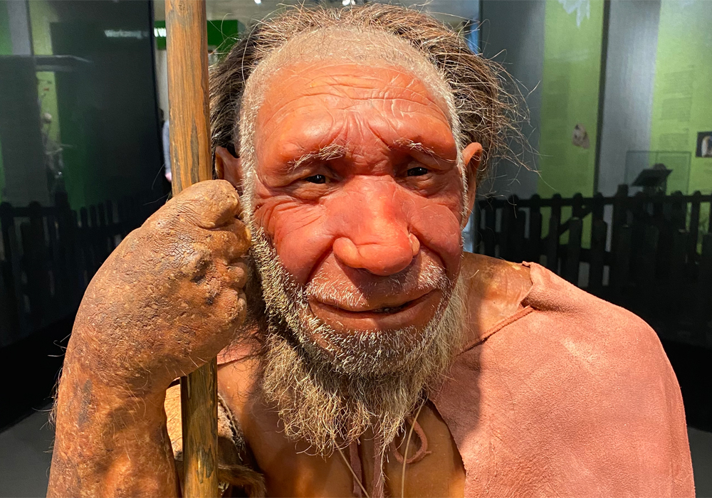 Auf den Spuren der Evolution