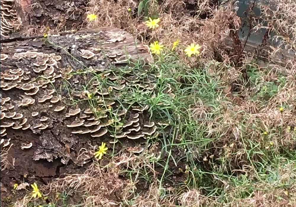 Filmisch-Fotografischer Abschied