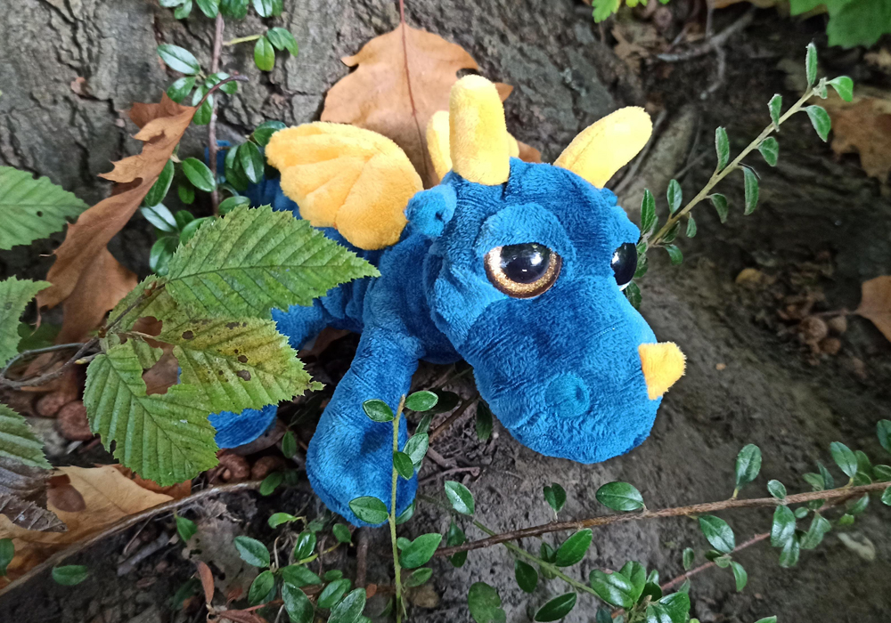 Baby Blue mit der 5e in der Eifel