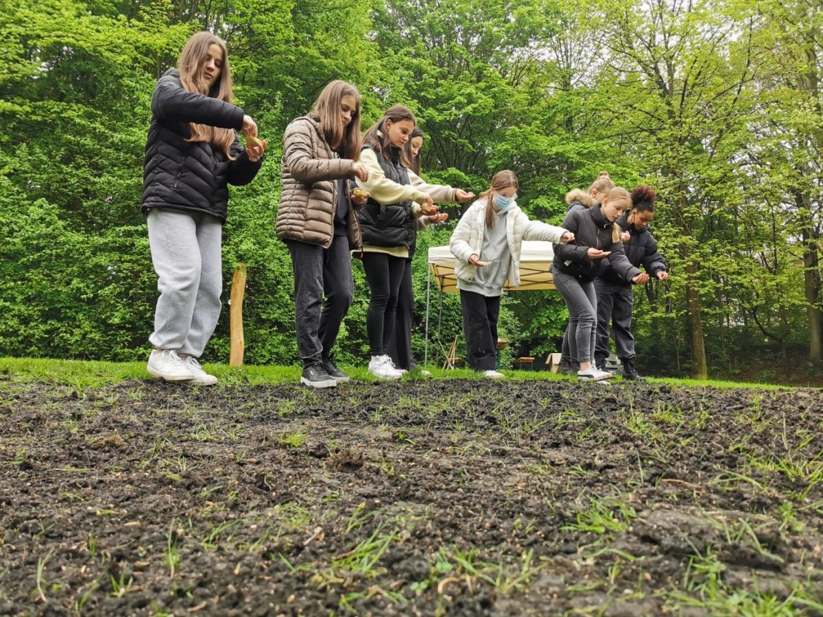Burgpark goes Blühwiese