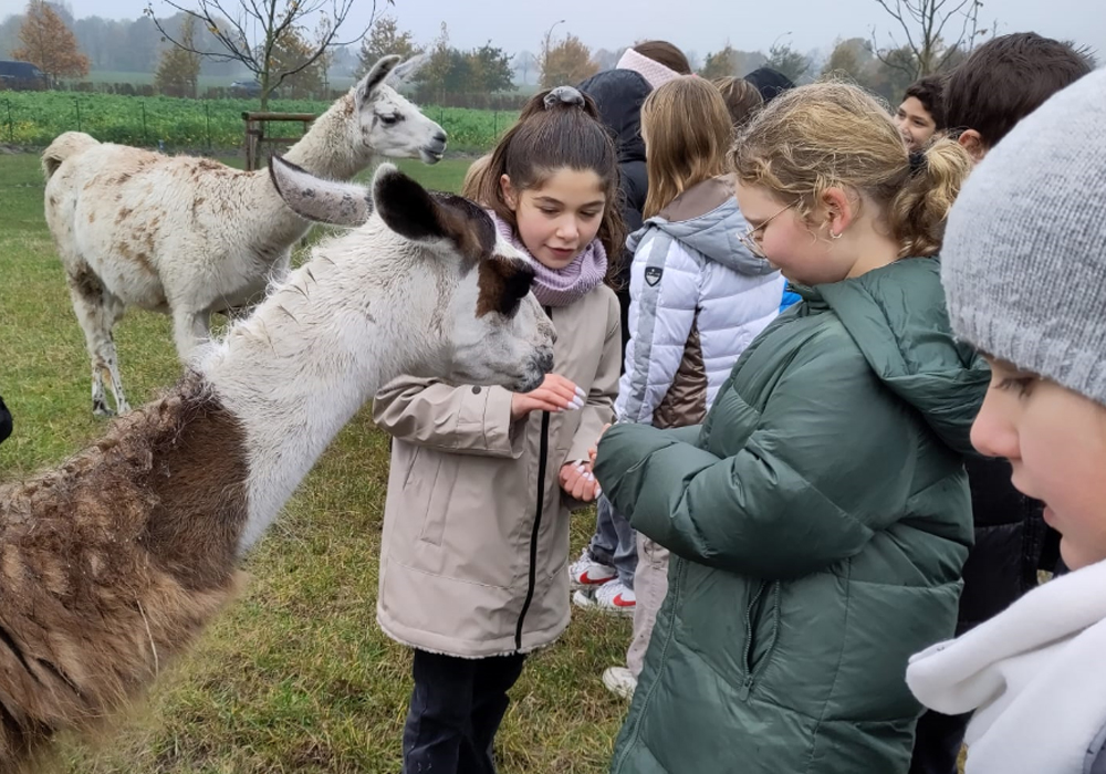 Fairtrade-Produktion hautnah