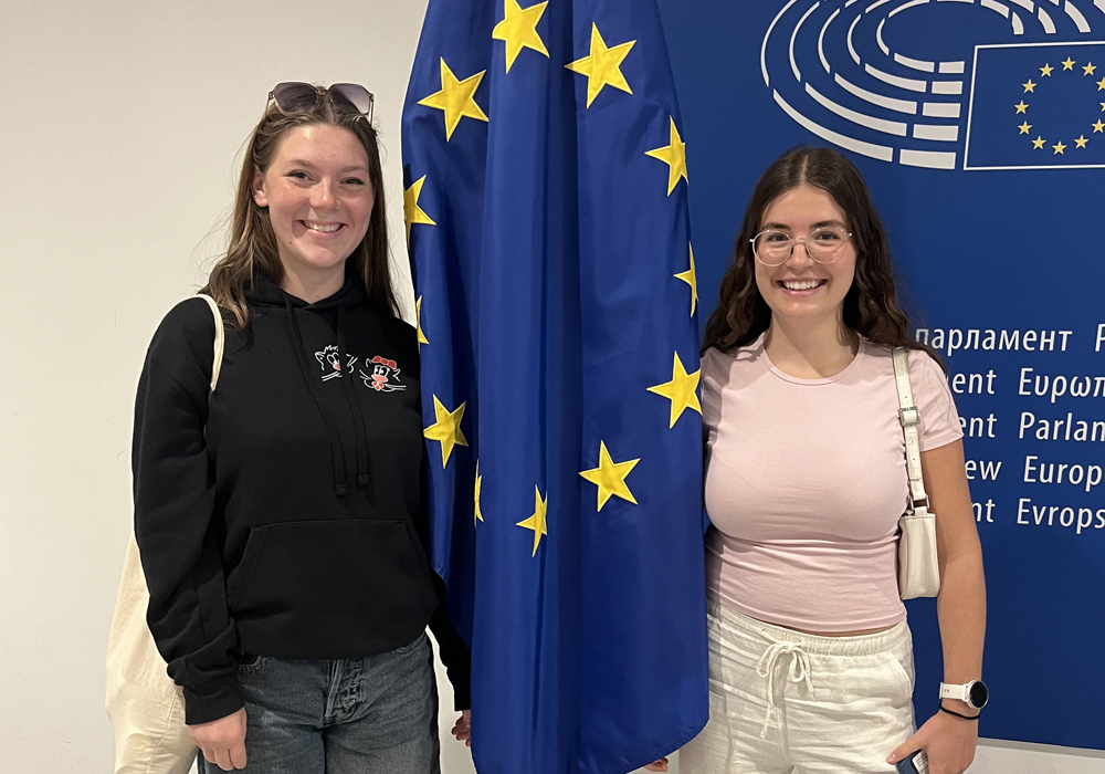 Pommes und Plenarsaal